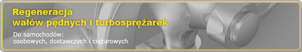 Regeneracja waw pdnych i turbosprarek do samochodw: osobowych, dostawczych i ciarowych.